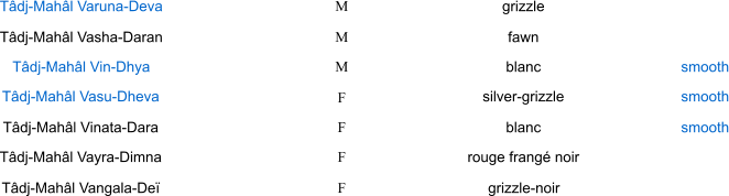 Tâdj-Mahâl Varuna-Deva M grizzle Tâdj-Mahâl Vasha-Daran M fawn Tâdj-Mahâl Vin-Dhya M blanc smooth Tâdj-Mahâl Vasu-Dheva F silver-grizzle smooth Tâdj-Mahâl Vinata-Dara F blanc smooth Tâdj-Mahâl Vayra-Dimna F rouge frangé noir Tâdj-Mahâl Vangala-Deï F grizzle-noir