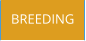 BREEDING