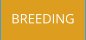 BREEDING