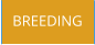 BREEDING