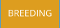 BREEDING