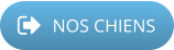 NOS CHIENS