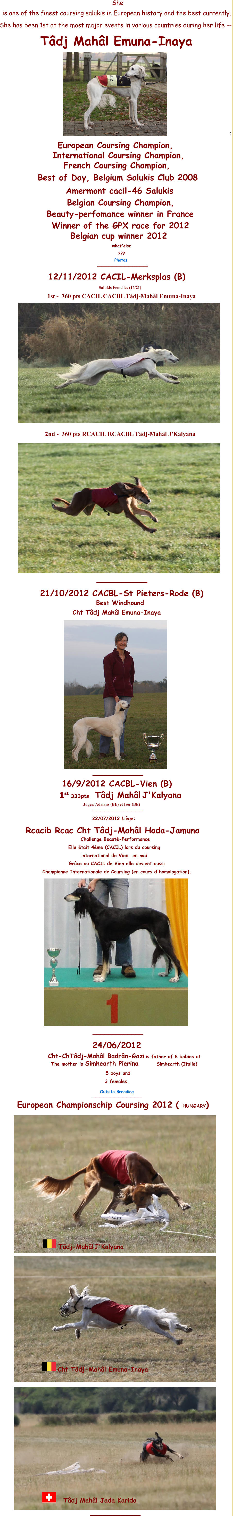 She  is one of the finest coursing salukis in European history and the best currently.   She has been 1st at the most major events in various countries during her life --   : Tâdj Mahâl  Emuna-Inaya  European Coursing Champion,  International Coursing Champion,  French Coursing Champion,  Belgian Coursing Champion, Best of Day, Belgium Salukis Club 2008  Amermont cacil-46 Salukis  Beauty-perfomance winner in France  Winner of the GPX race for 2012   Belgian cup winner 2012 what'else  ??? Photos  _____________ 12/11/2012 CACIL-Merksplas (B)  Salukis Femelles (16/21) 1st -  360 pts CACIL CACBL Tâdj-Mahâl Emuna-Inaya  2nd -  360 pts RCACIL RCACBL Tâdj-Mahâl J'Kalyana   _____________ 21/10/2012 CACBL-St Pieters-Rode (B) Best Windhound Cht Tâdj Mahâl  Emuna-Inaya  _____________ 16/9/2012 CACBL-Vien (B) 1 st    333pts Tâdj Mahâl         J'Kalyana  Juges: Adrians (BE) et Iser (BE)  _____________ 22/07/2012 Liège:  Rcacib Rcac Cht Tâdj-Mahâl Hoda-Jamuna  Challenge Beauté-Performance Elle était 4ème (CACIL) lors du coursing  international de Vien  en mai Grâce au CACIL de Vien elle devient aussi  Championne Internationale de Coursing (en cours d'homologation).  _____________  24/06/2012 Cht-Ch  Tâdj-Mahâl Badrân-Gazi   is father of 8 babies at  Simhearth  (Italie)  5 boys and  3 females. The mother is  Simhearth Pierina Outsite Breeding  _____________ European Championschip Coursing 2012 ( HUNGARY) Tâdj-Mahâl         J'Kalyana  Cht Tâdj-Mahâl Emuna-Inaya Tâdj Mahâl Jada Karida  _____________
