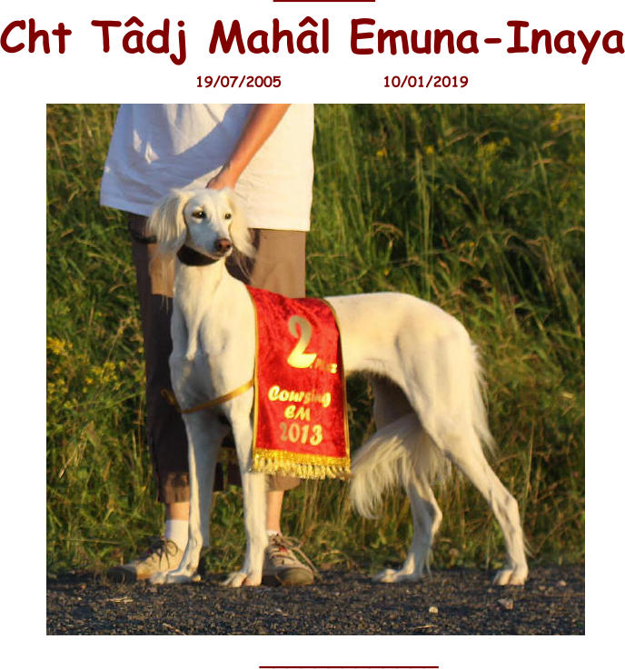 _______ Cht Tâdj Mahâl  Emuna-Inaya 19/07/2005                10/01/2019  _____________