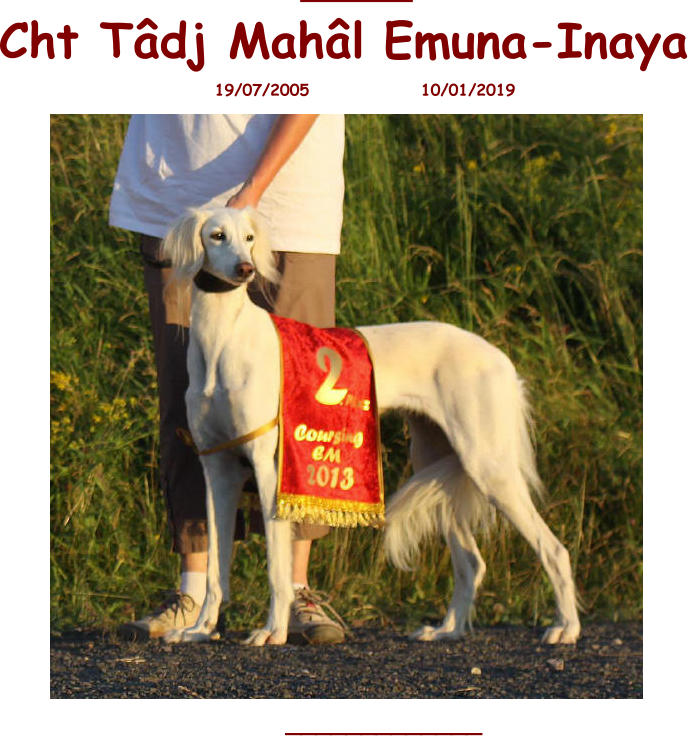 _______ Cht Tâdj Mahâl  Emuna-Inaya 19/07/2005                10/01/2019  _____________