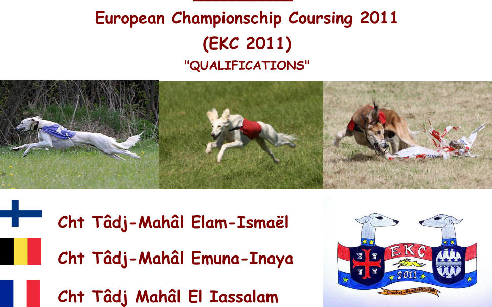 _____________ European Championschip Coursing 2011  (EKC 2011)  "QUALIFICATIONS"          Cht Tâdj-Mahâl Elam-Ismaël          Cht Tâdj-Mahâl Emuna-Inaya          Cht Tâdj Mahâl El Iassalam