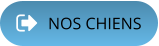 NOS CHIENS