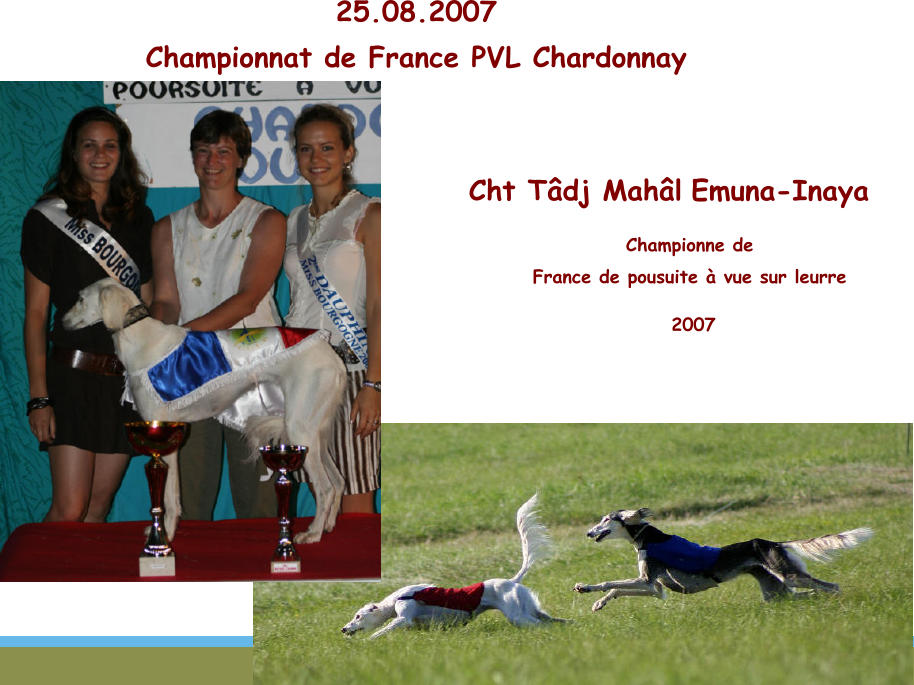 25.08.2007 Championnat de France PVL Chardonnay  Cht Tâdj Mahâl  Emuna-Inaya Championne de  France de pousuite à vue sur leurre  2007