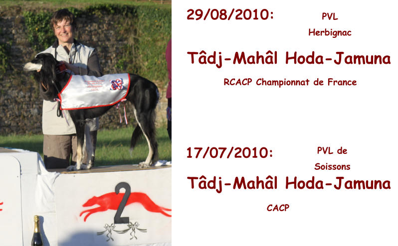29/08/2010: Tâdj-Mahâl Hoda-Jamuna   RCACP Championnat de France  PVL  Herbignac 17/07/2010: Tâdj-Mahâl Hoda-Jamuna   CACP  PVL de  Soissons